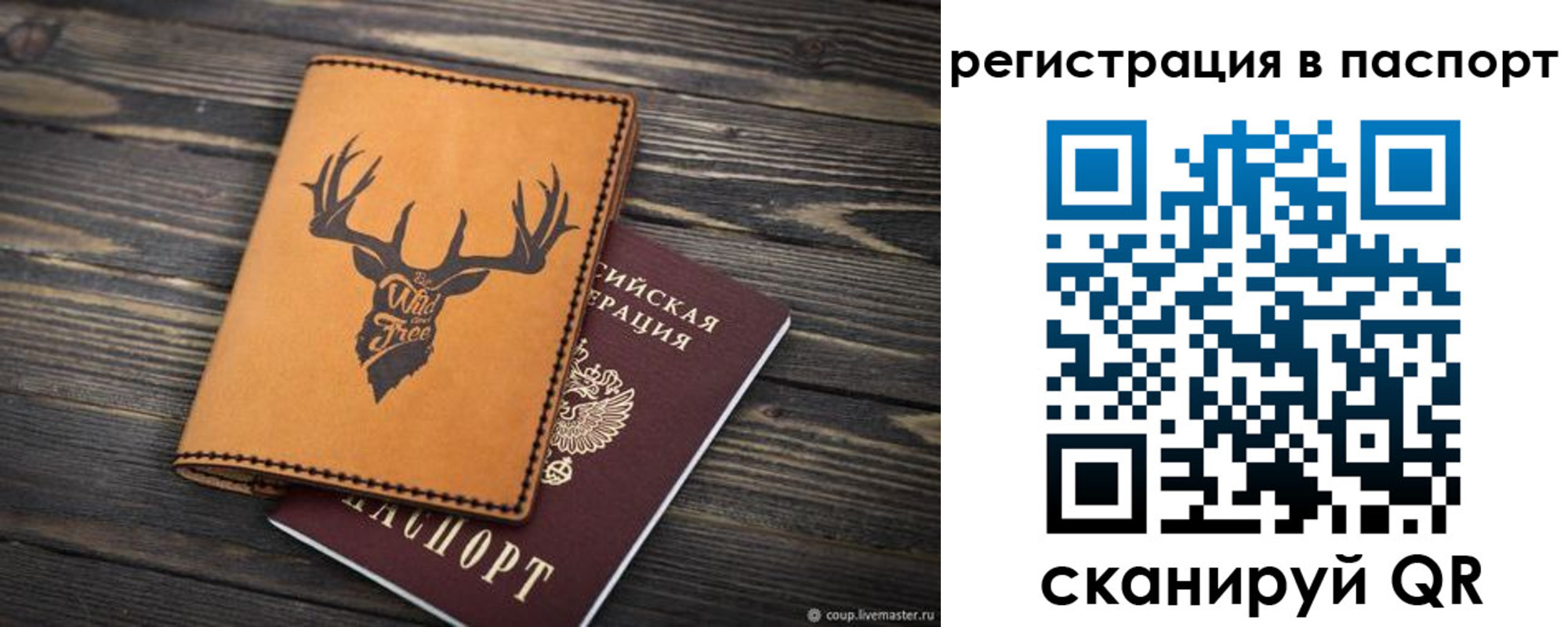 прописка паспорт в Морозовске